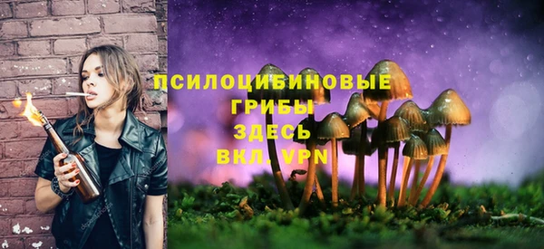 spice Пролетарск
