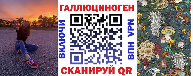 наркотики Губаха Псилоцибиновые грибы Cubensis